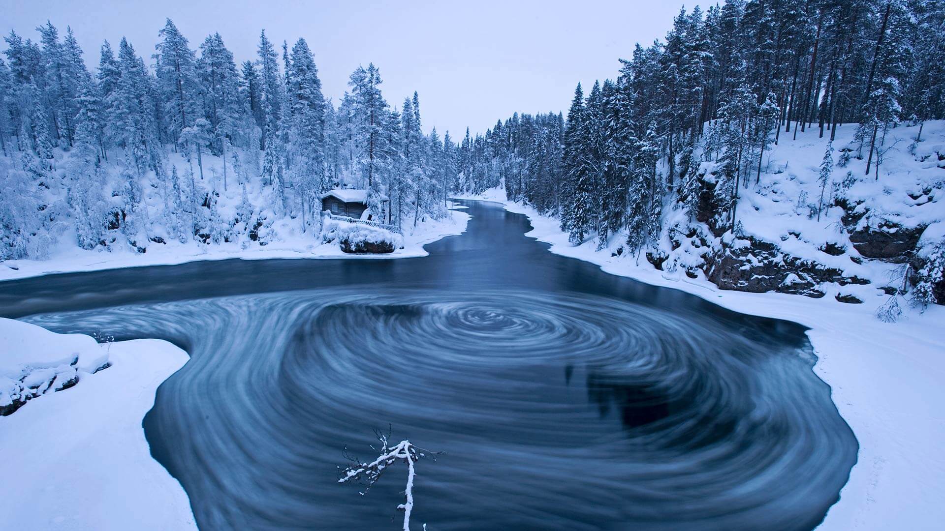 Winter in the Finnish wilds by Microsoft | Wallpapers | WallpaperHub