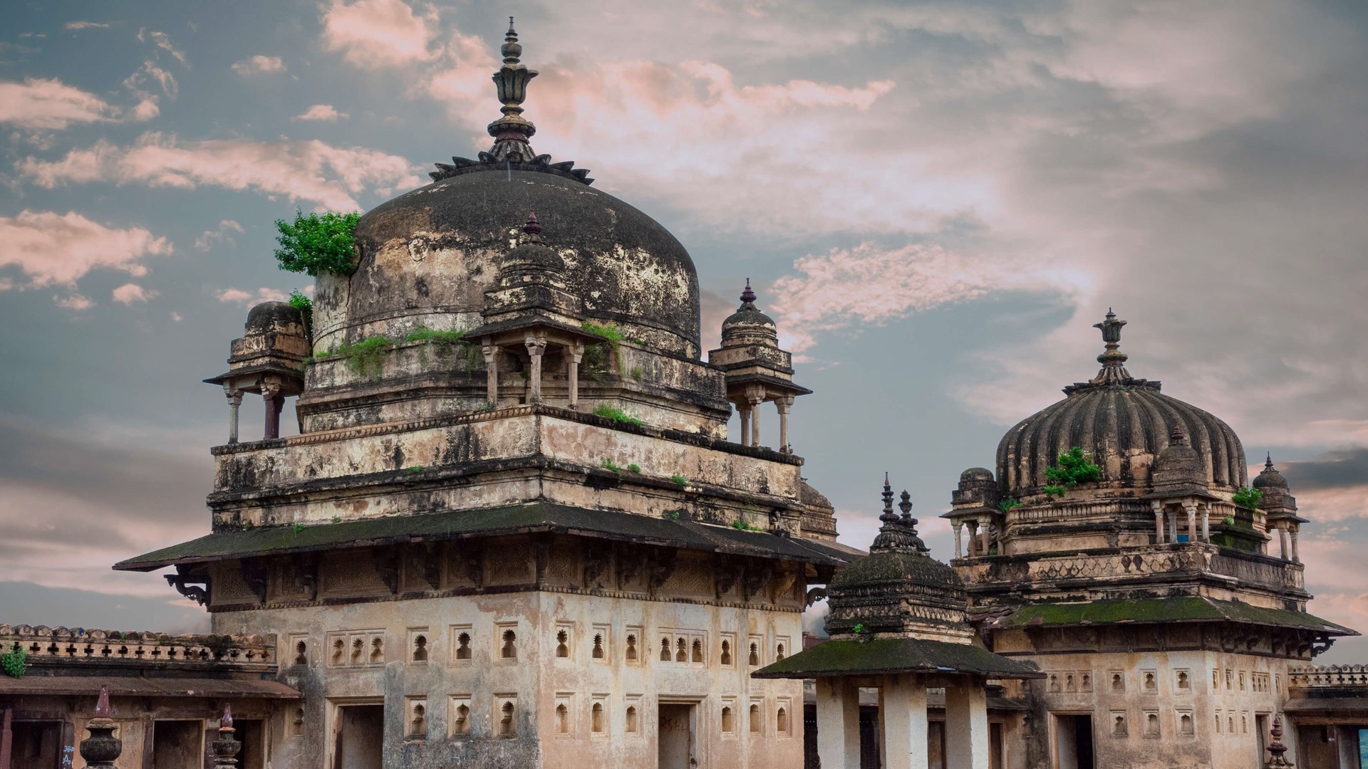 【真作】版画　技法不明　丘のオリーブ　爽やかな木陰と段々畑の風景　X1 真作】版画 技法不明 丘のオリーブ 爽やかな木陰と段々畑の風景 X1