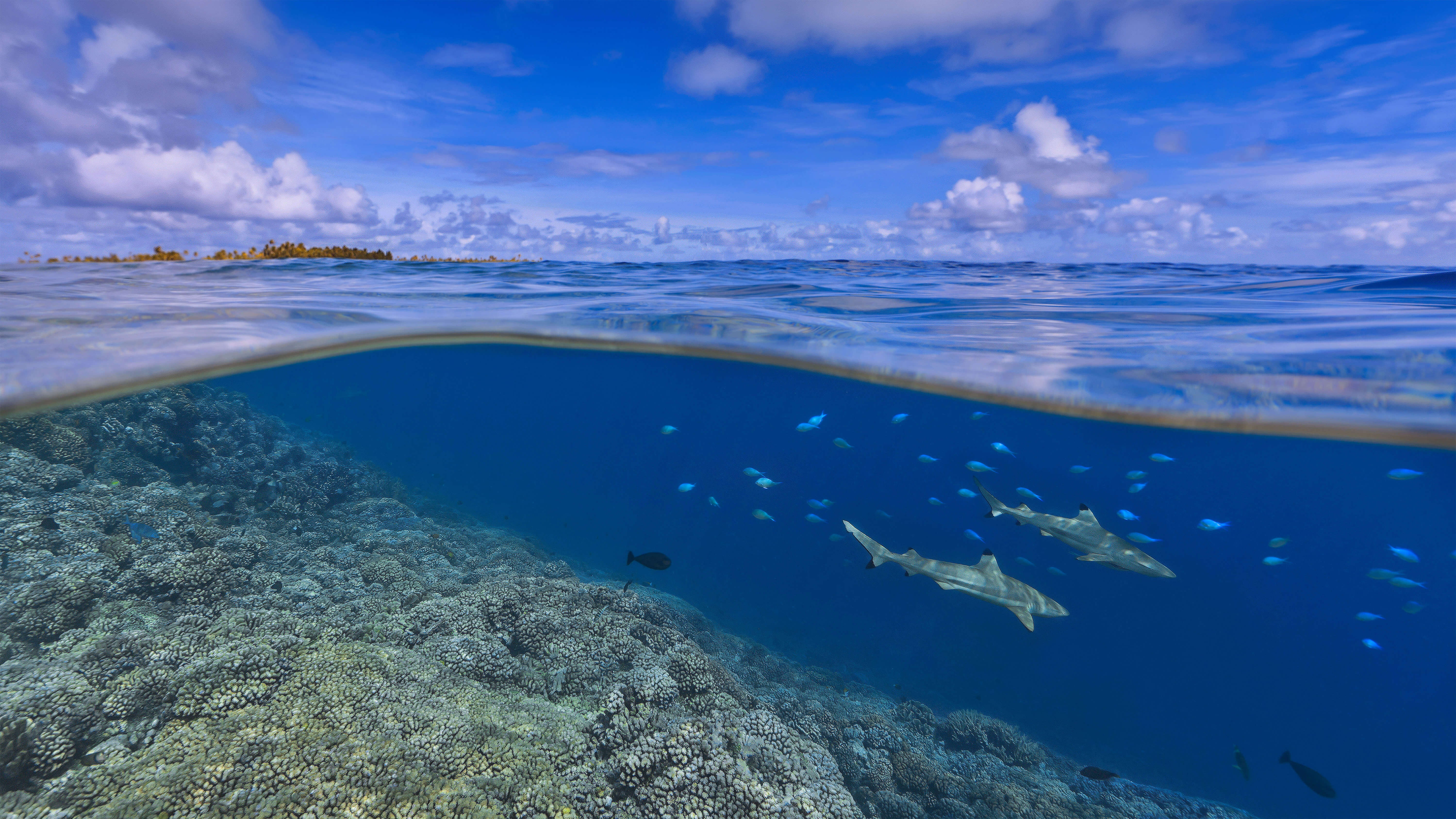 Windows bing wallpaper. Морские пейзажи фото высокого разрешения. Океан без воды. Заставка на рабочий стол океан. Windows 10 пляж.