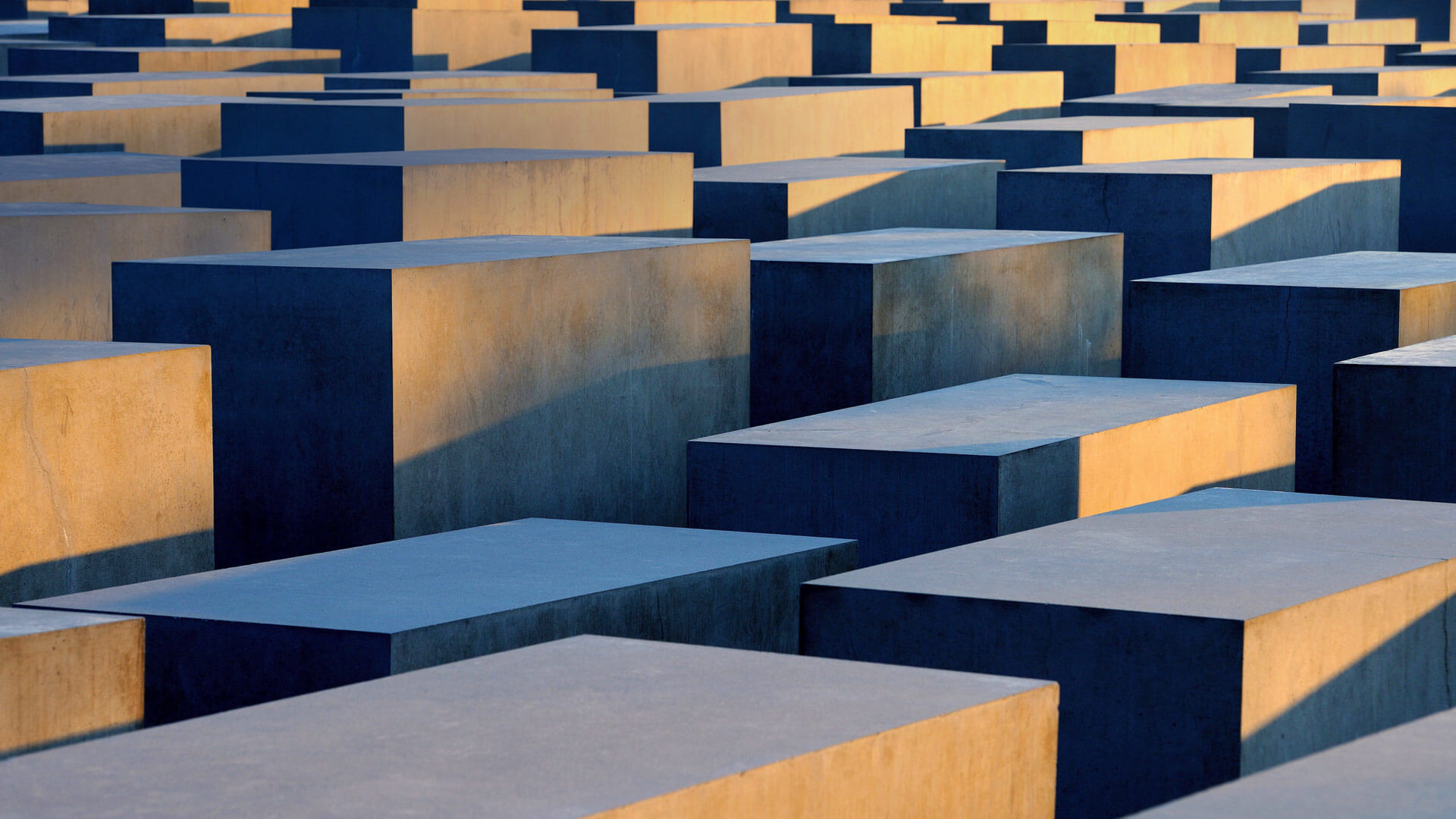 Holocaust Remembrance Day By Microsoft Wallpapers Wallpaperhub
