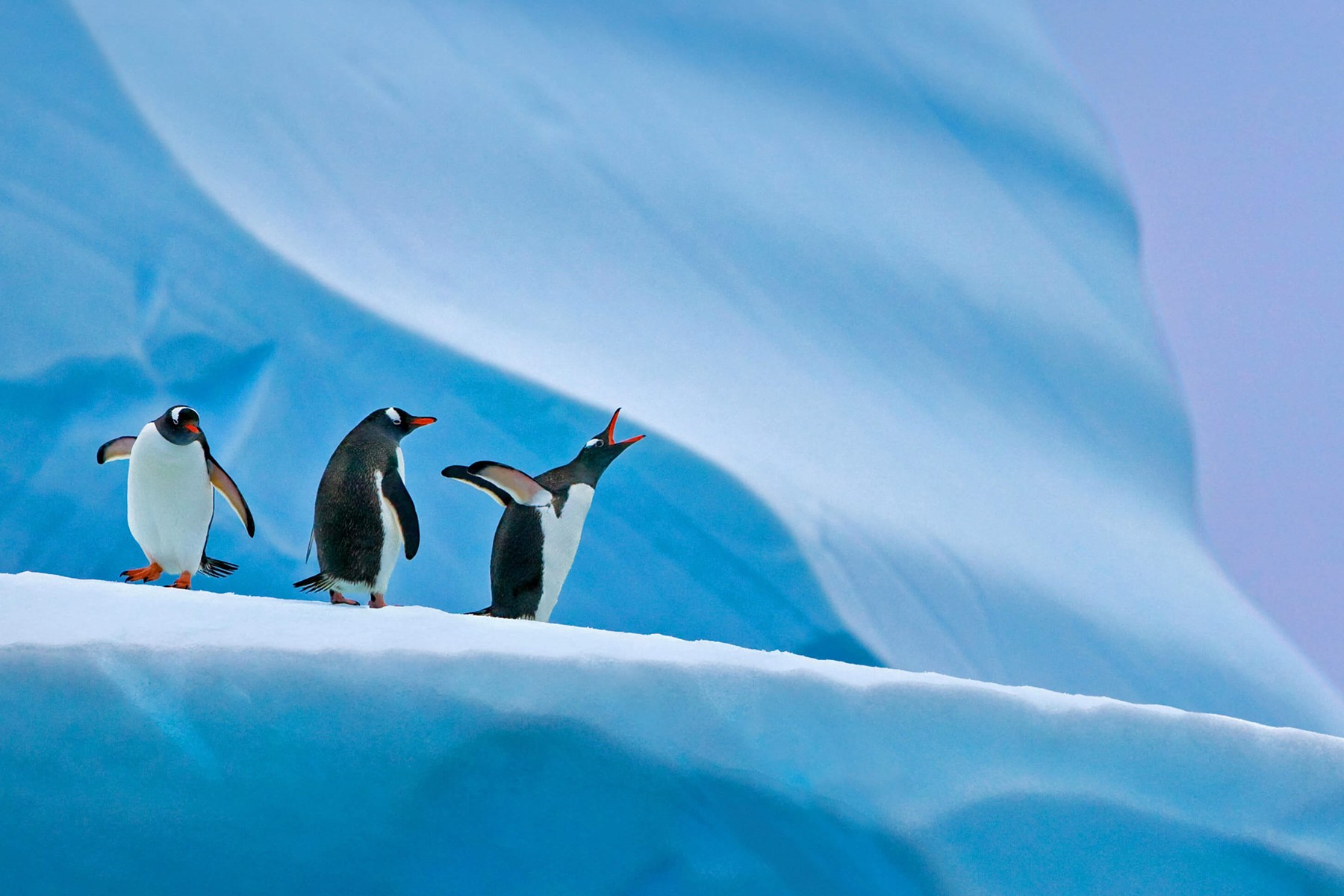 by-microsoft-wallpapers-wallpaperhub