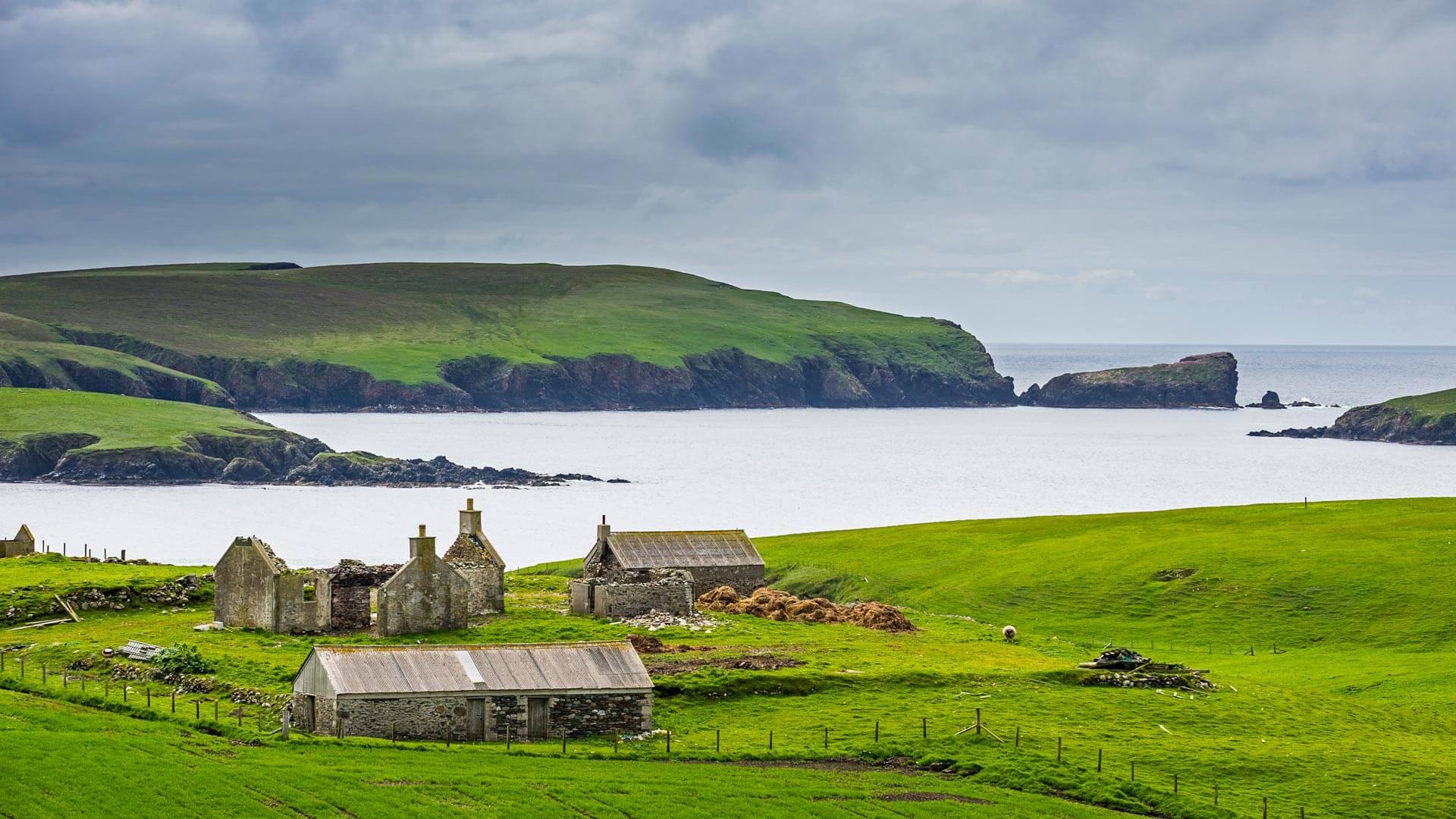Shetland Marks The End Of Yule By Microsoft Wallpapers