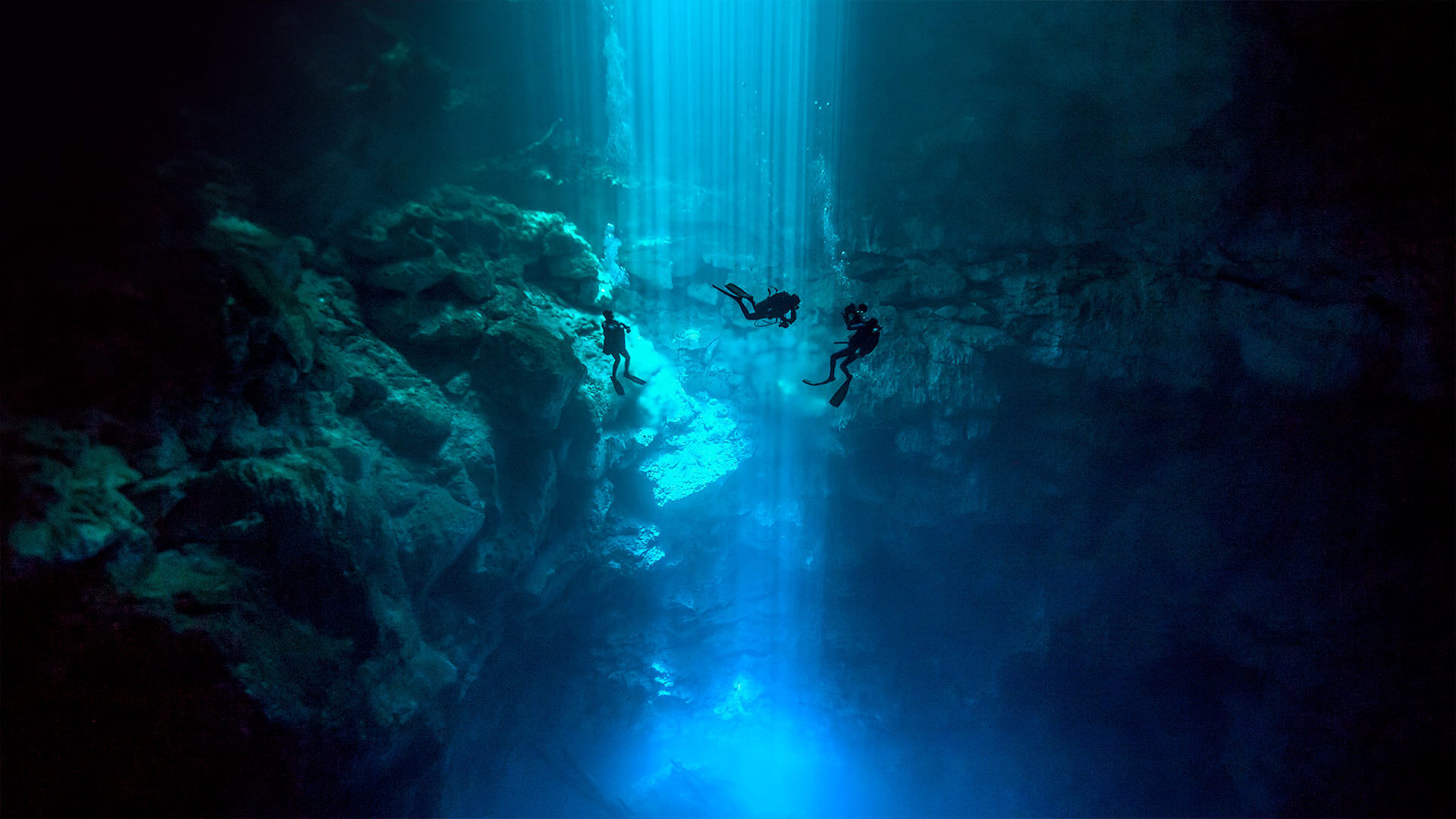 A Different Kind Of Dive By Microsoft Wallpapers Wallpaperhub