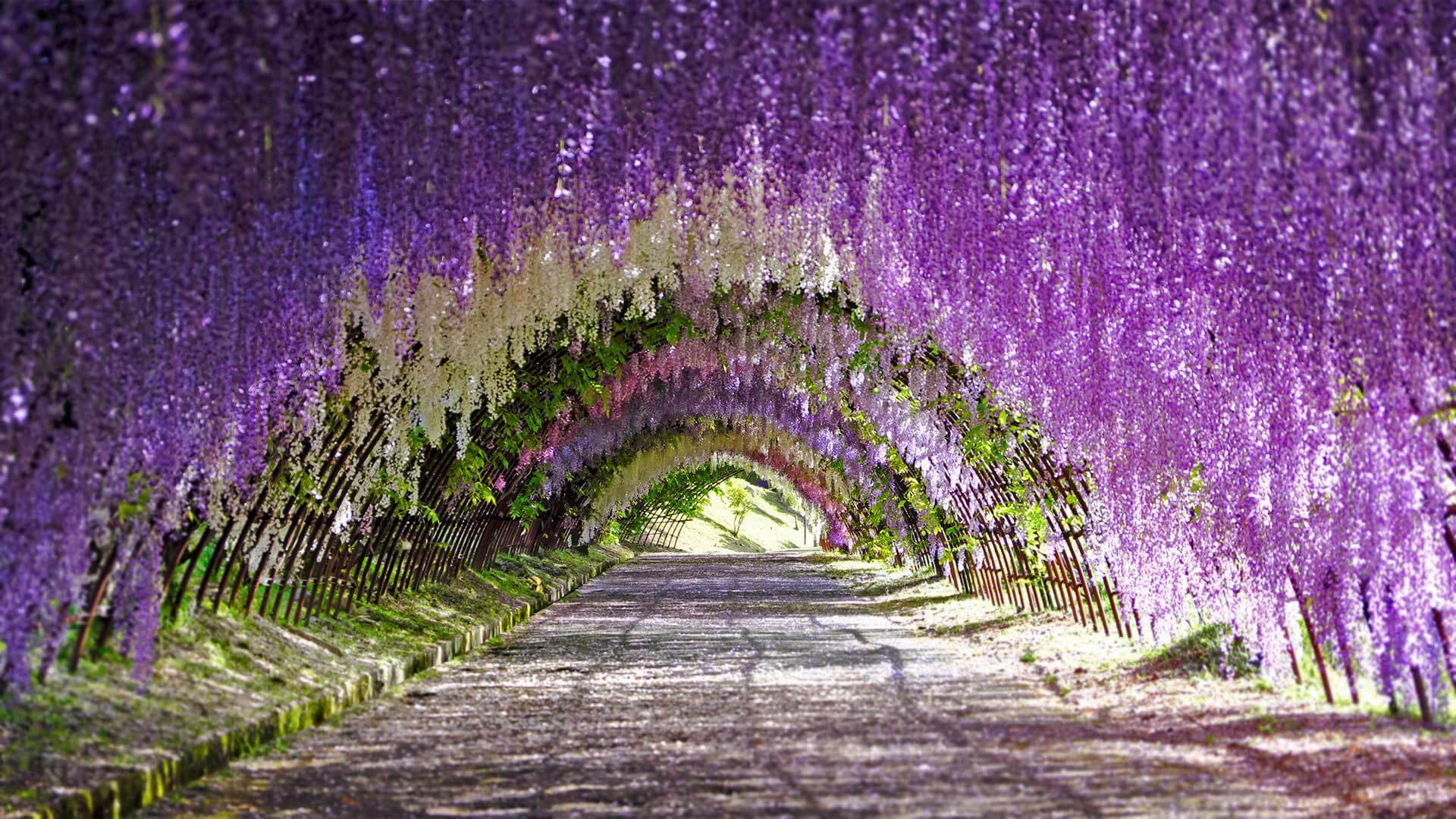 明日からゴールデンウィーク By Microsoft Wallpapers Wallpaperhub