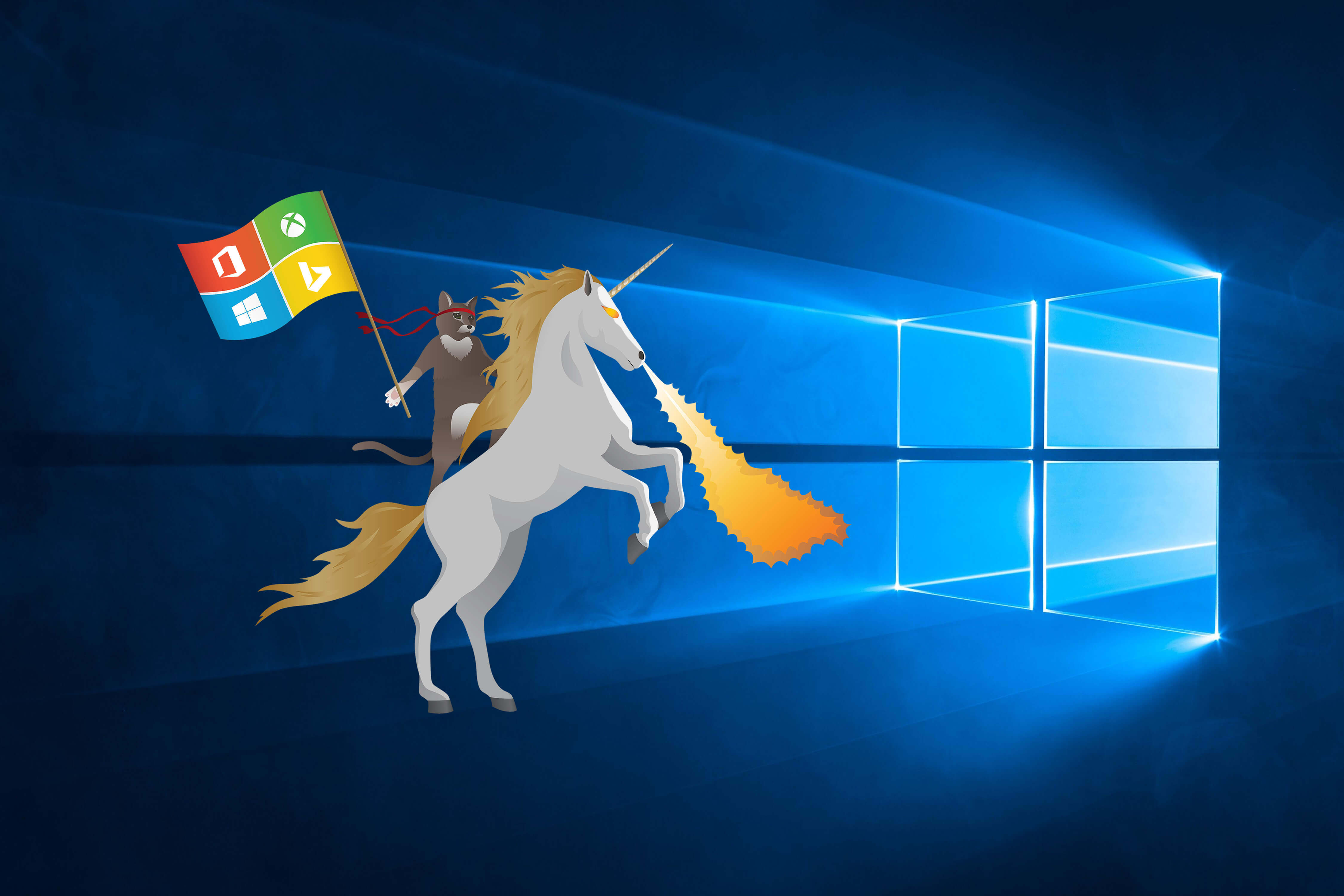 Ninja Cat Unicorn Windows 10 Hero by Michael Gillett | Wallpapers |  WallpaperHub