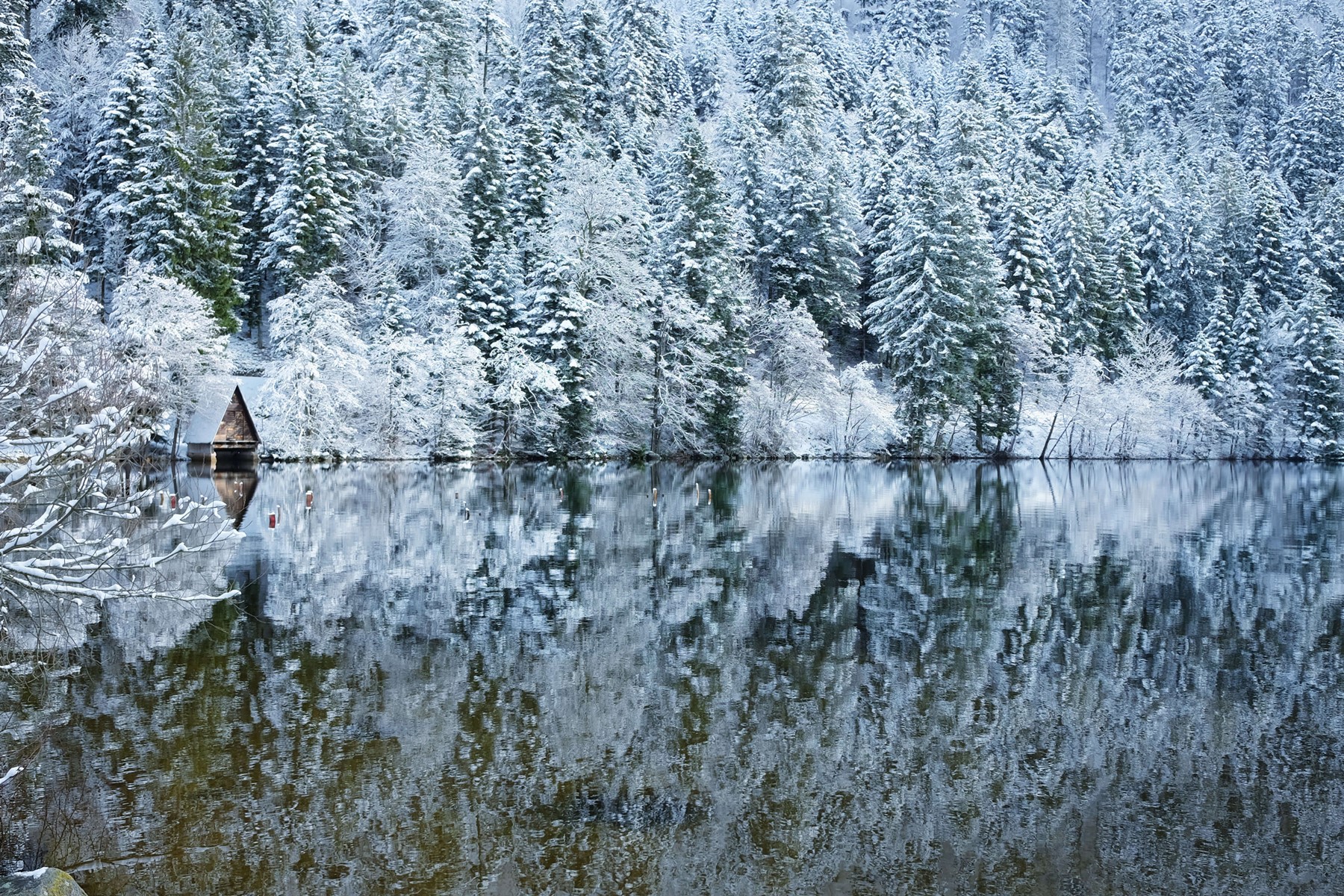 Lac aux mille reflets by Microsoft | Wallpapers | WallpaperHub