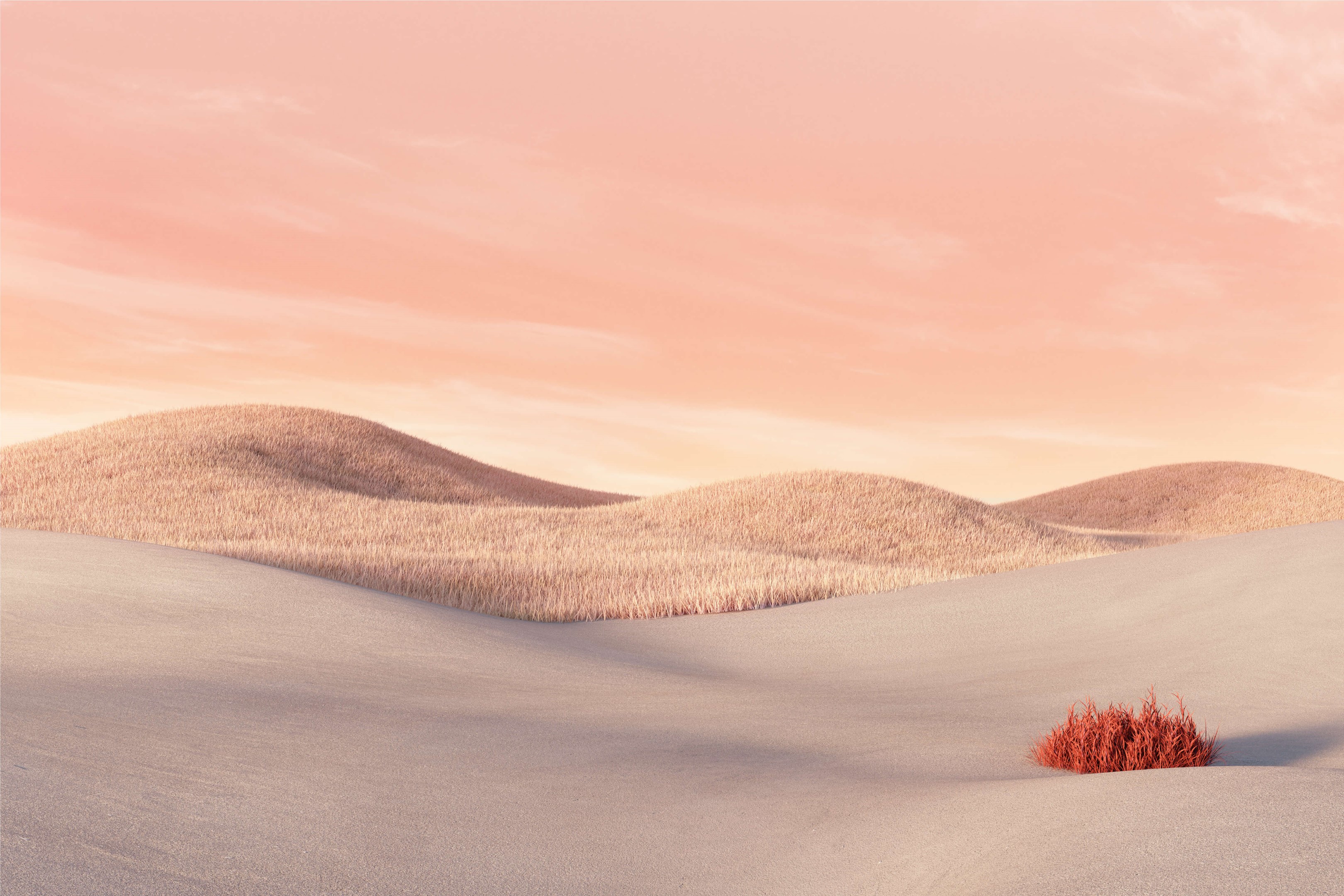 Surface Laptop Go - Sandstone by Microsoft | Wallpapers | WallpaperHub