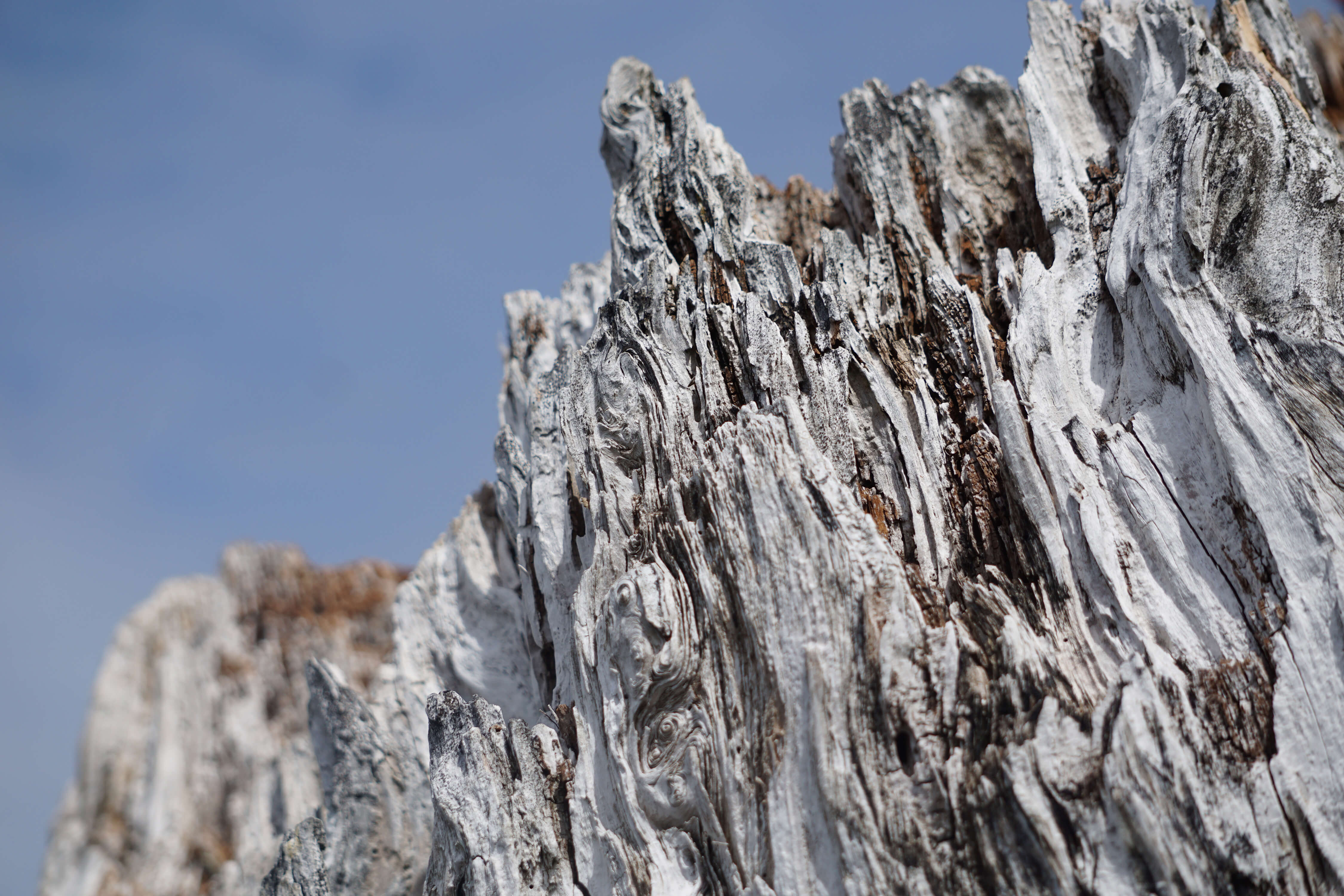 Trunk Cliff Wallpaperhub