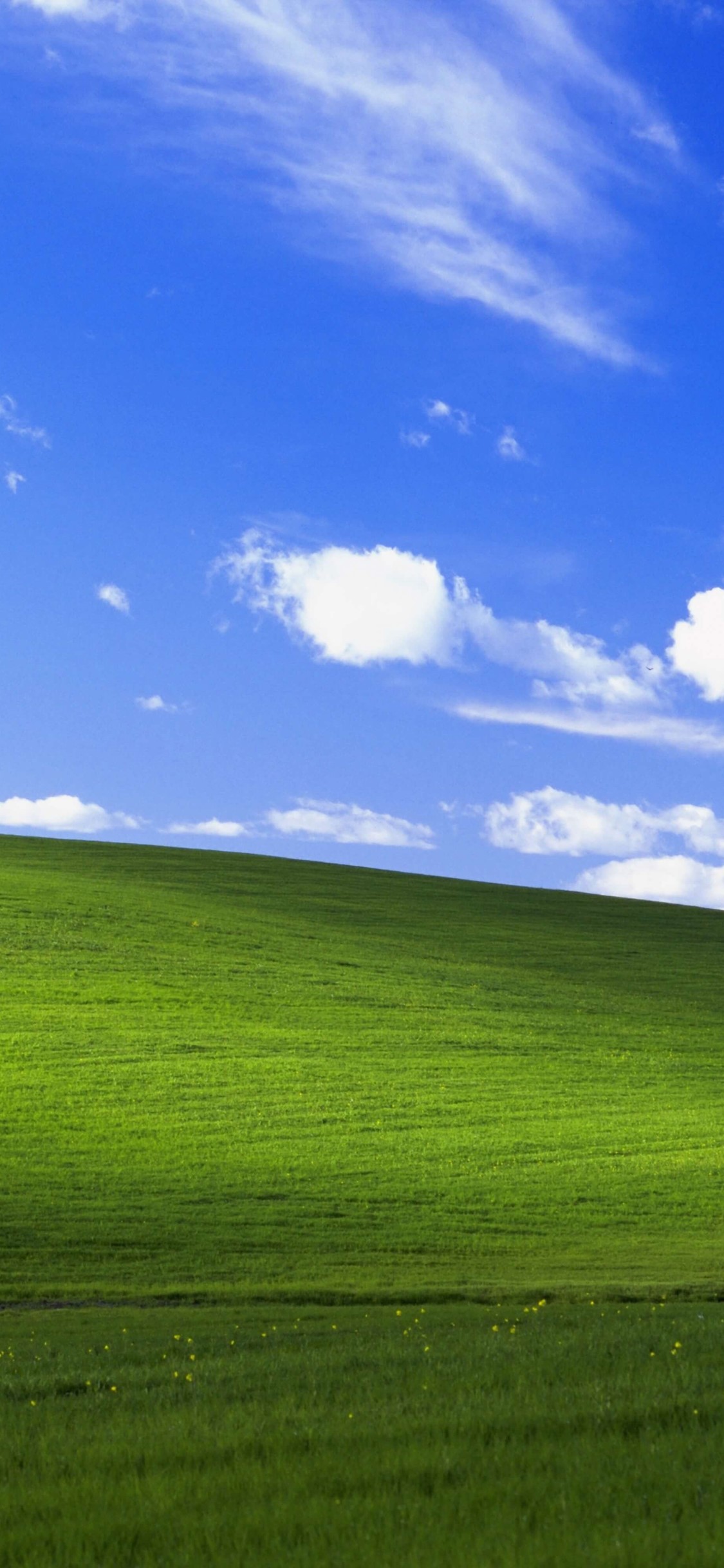 Search for software Bliss Iconic desktop image from Microsofts Windows  XP still lures hill seekers  GeekWire