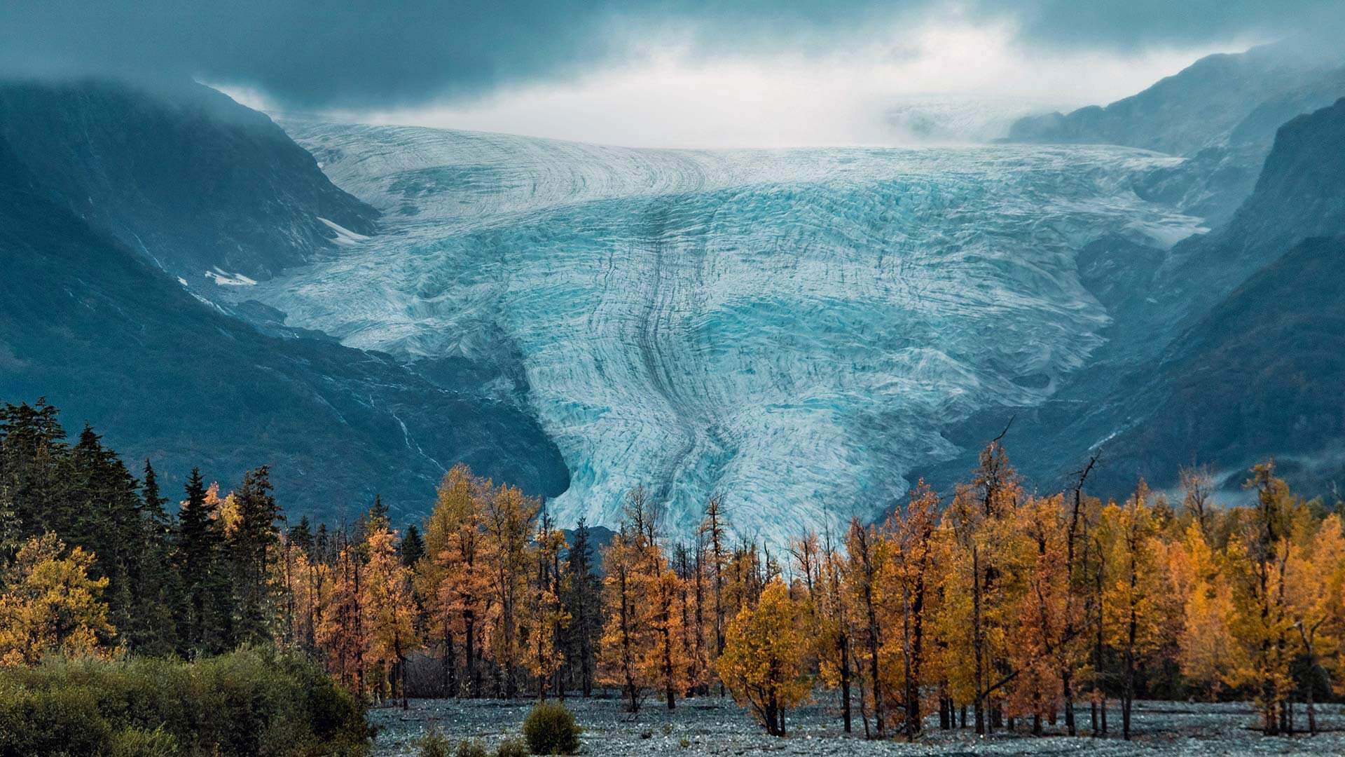 Wild and beautiful Alaska by Microsoft | Wallpapers | WallpaperHub