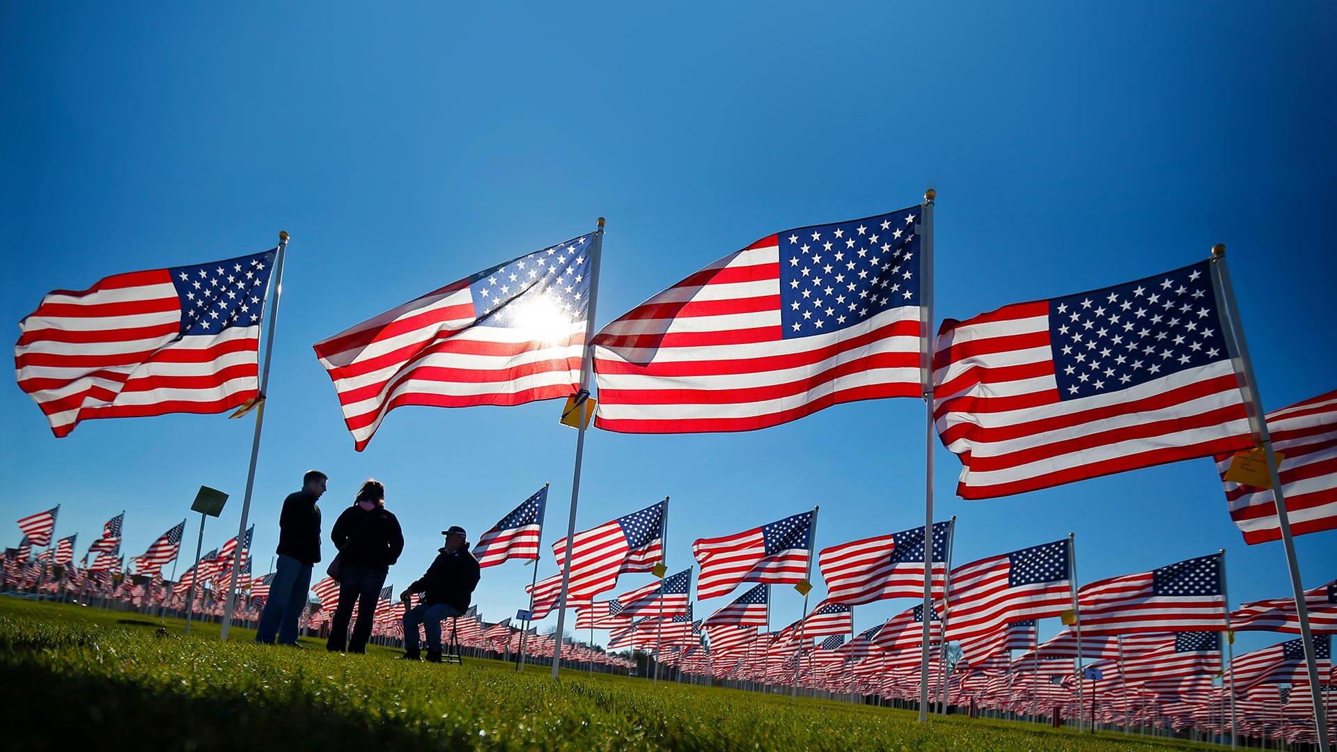 On A Healing Field For Veterans Day By Microsoft Wallpapers