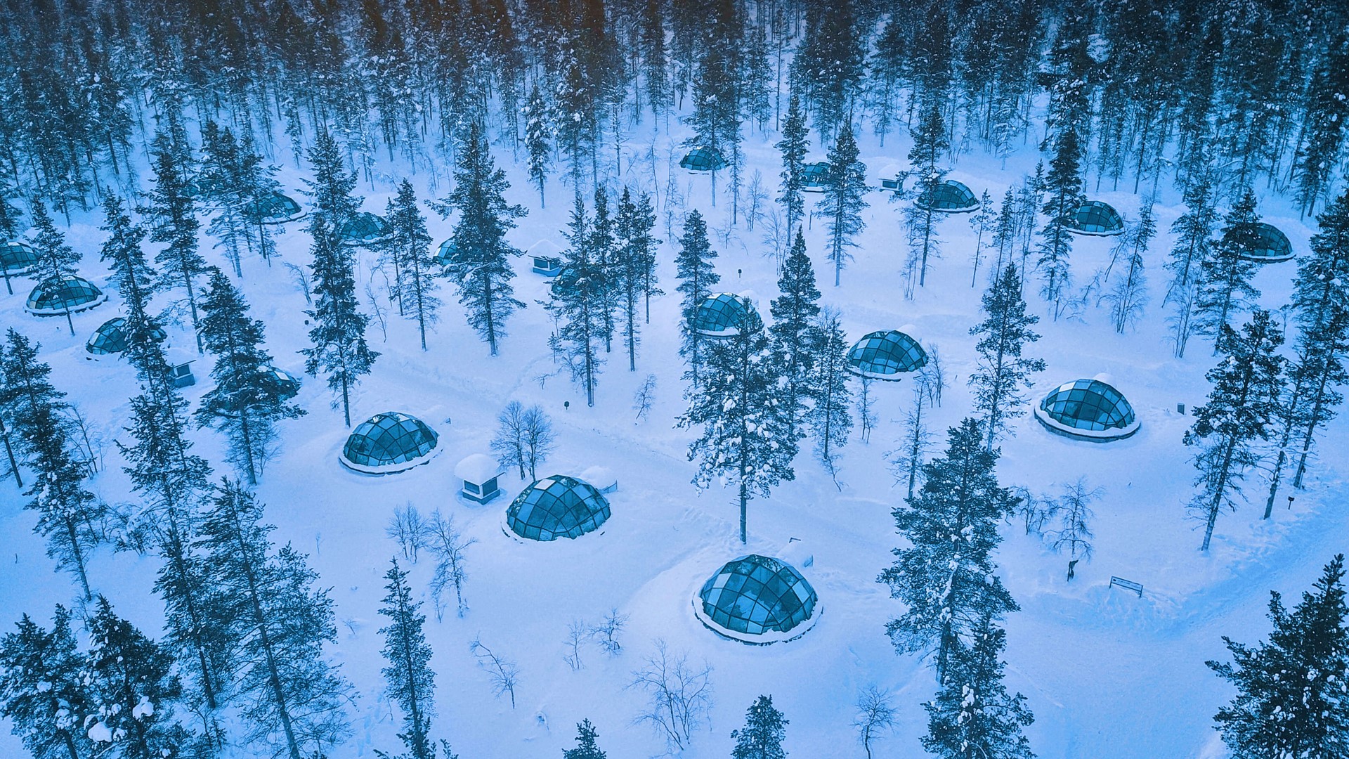 Oh, to sleep under the northern lights by Microsoft | Wallpapers