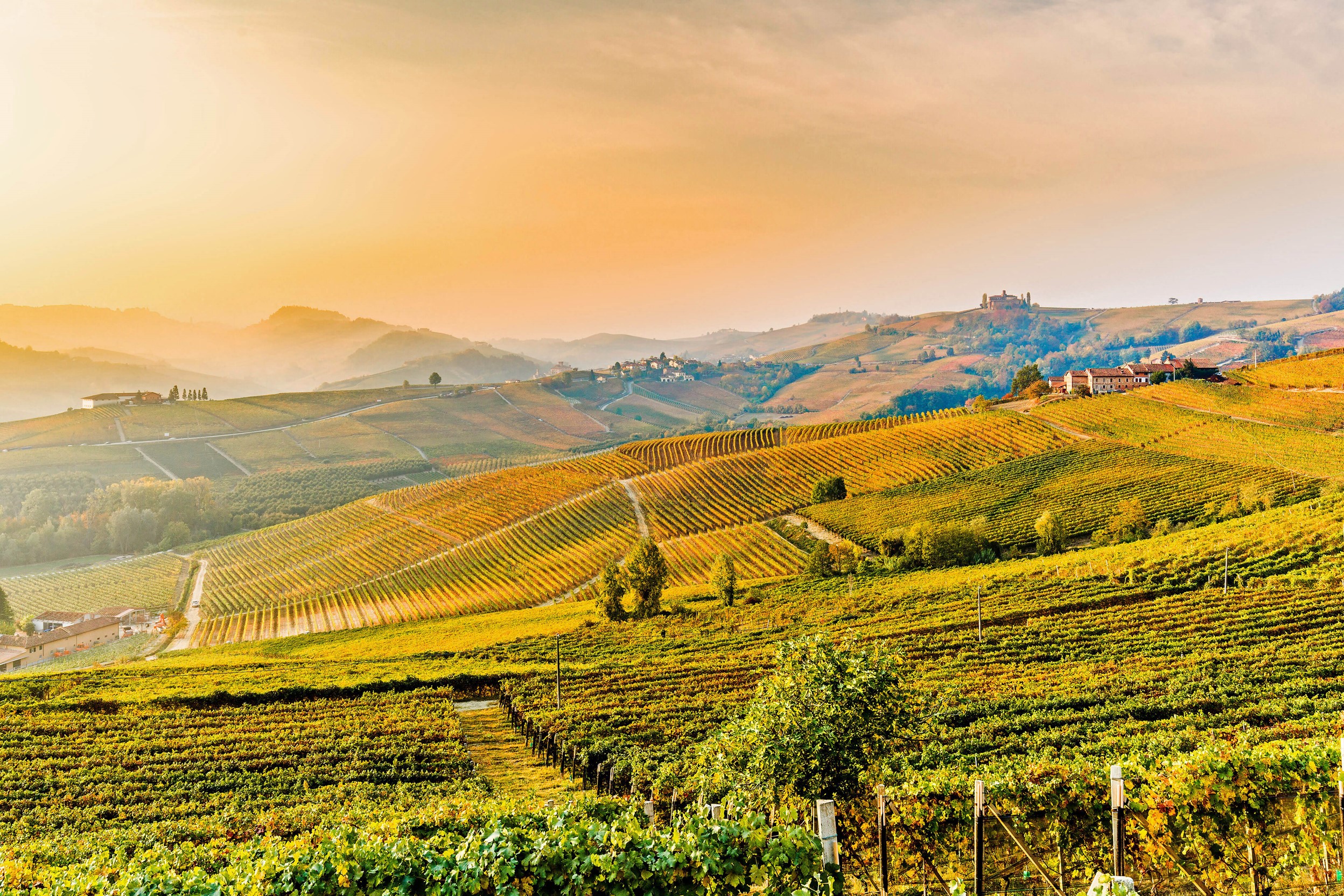 Autumn in Piedmont by Microsoft | Wallpapers | WallpaperHub