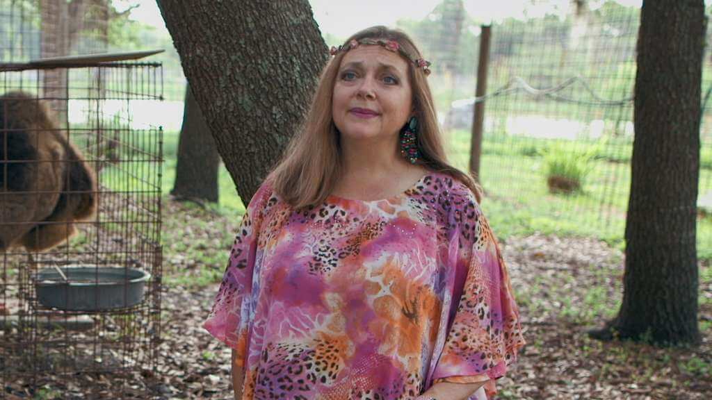 Background Tiger King 3 By Michael Gillett Wallpapers Wallpaperhub