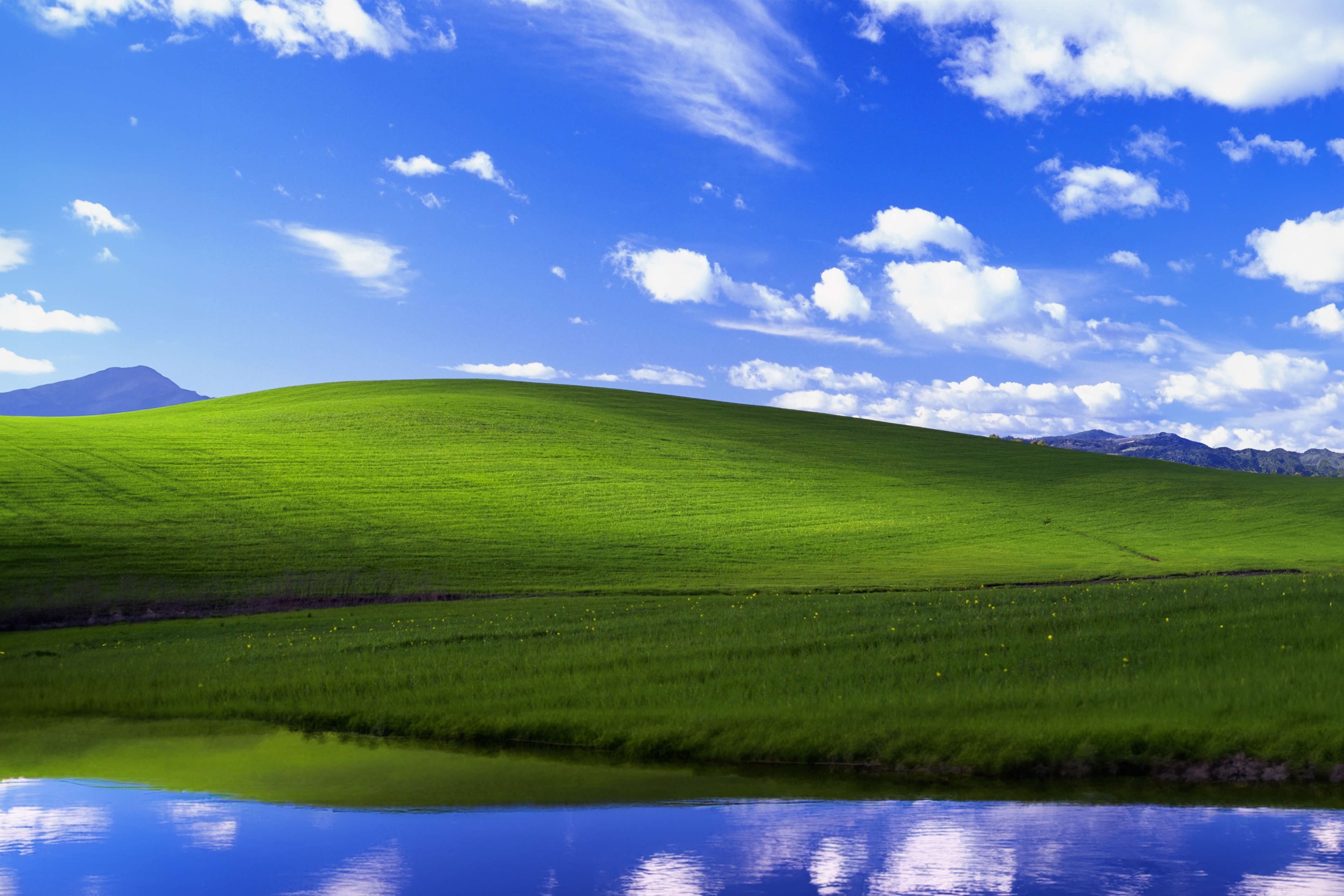 Download Grass Windows Xp Royalty-Free Stock Illustration Image - Pixabay