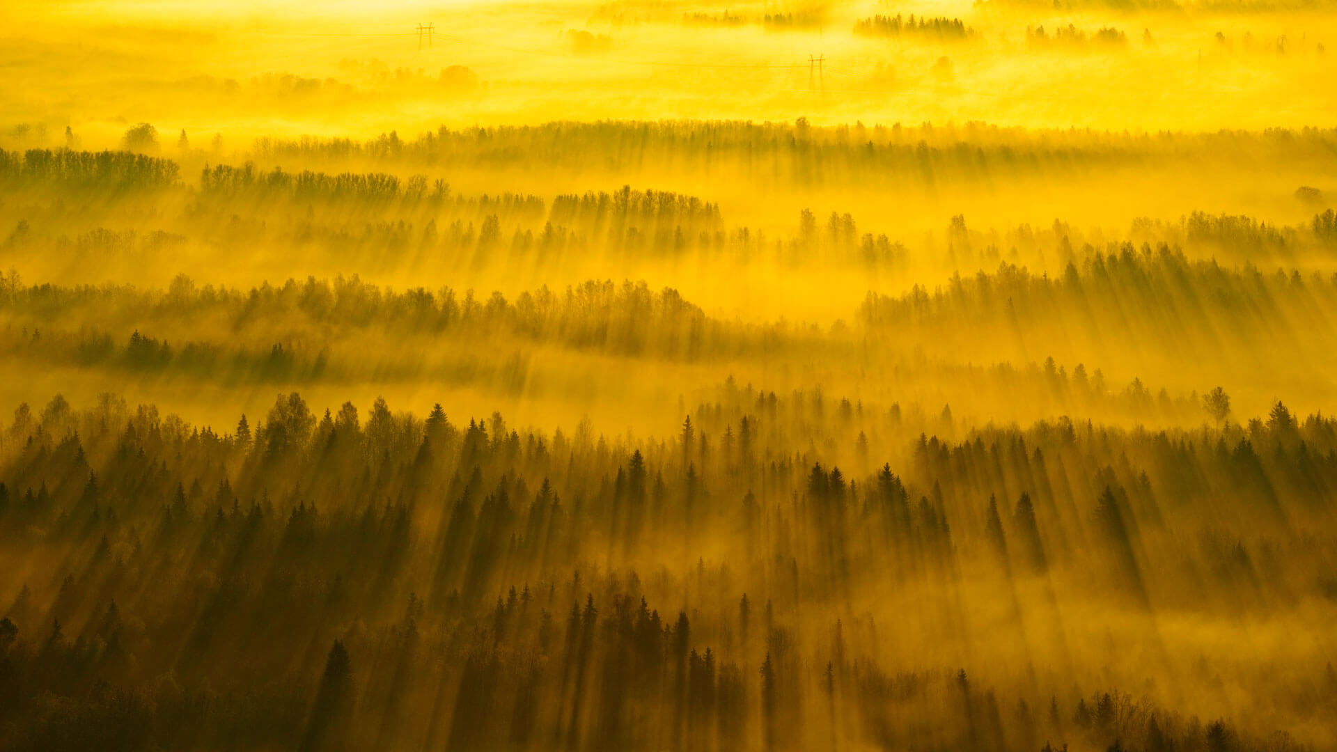 Estonian Countryside By Microsoft Wallpapers Wallpaperhub,Crows Zero 3 Full Movie Indonesia Sub
