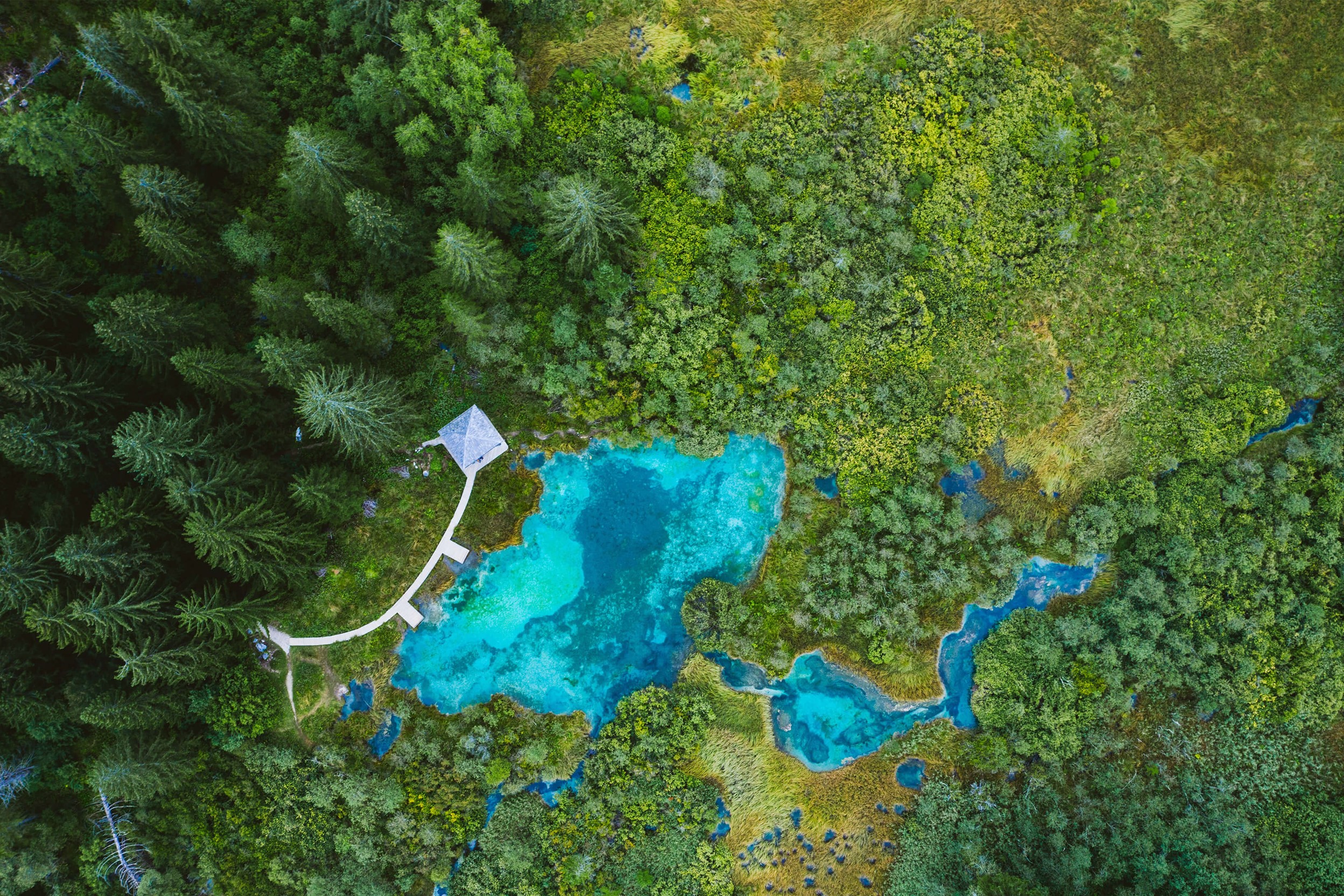 【絵画】群生する谷と緑の湖 東山魁夷 緑の湖畔(新復刻画) | 絵画など美術品の販売と買取