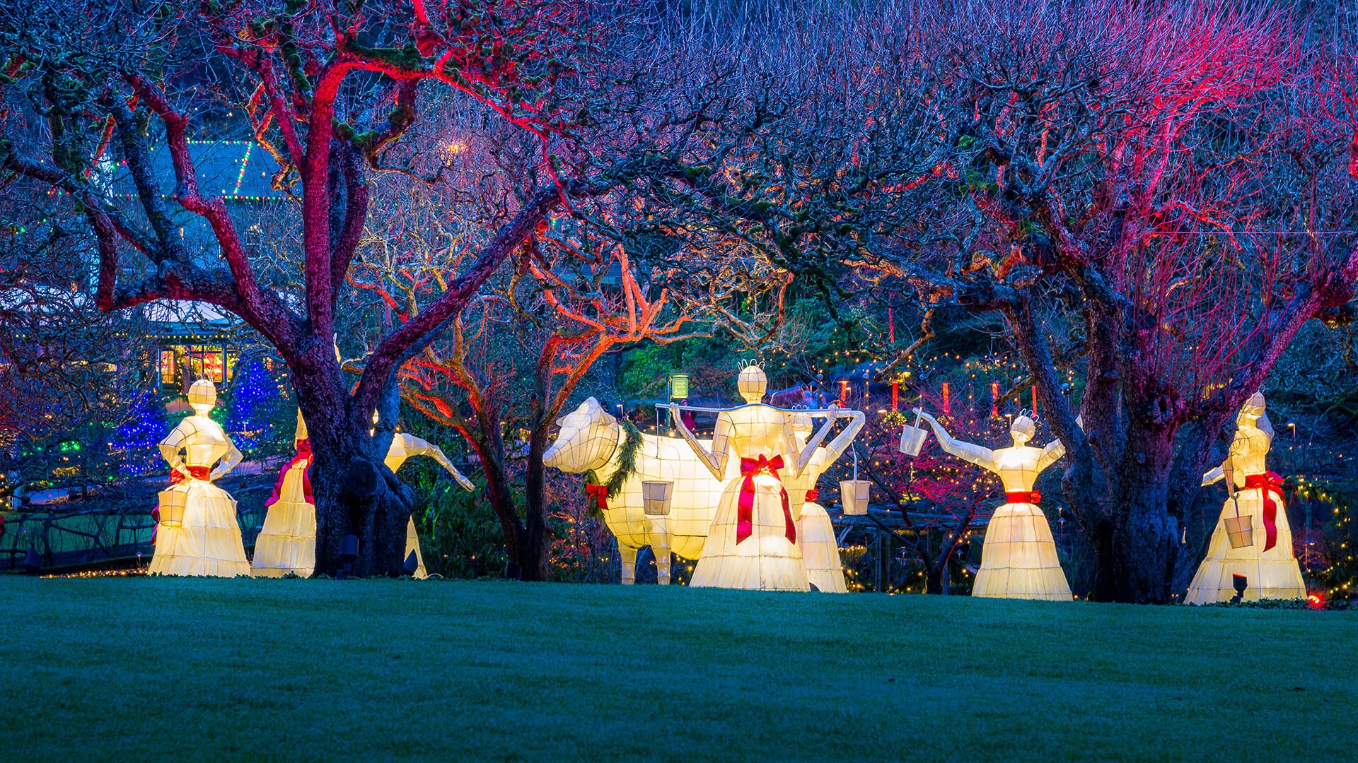 Festive foliage in the garden by Microsoft Wallpapers WallpaperHub