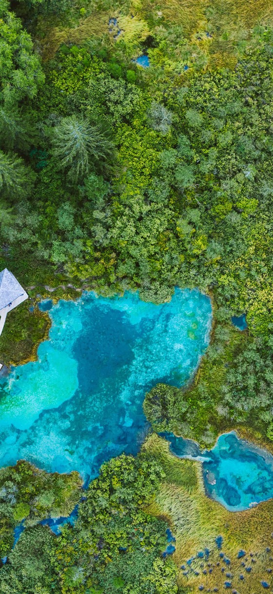青々とした森林に囲まれたゼレンチ湖 by Microsoft | Wallpapers
