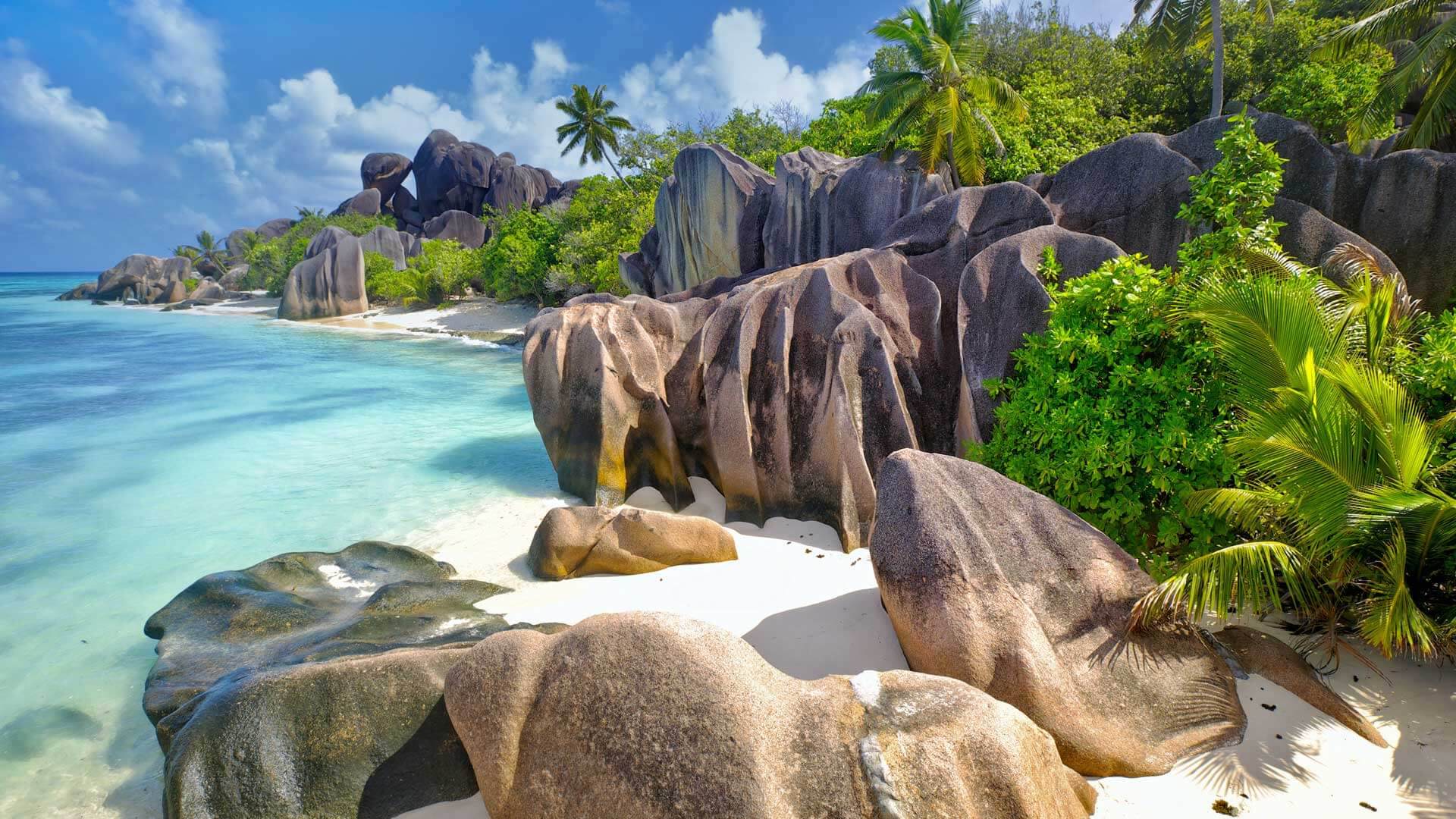 Wallpaper Wish You Were Here By Microsoft Wallpapers Wallpaperhub Free HD