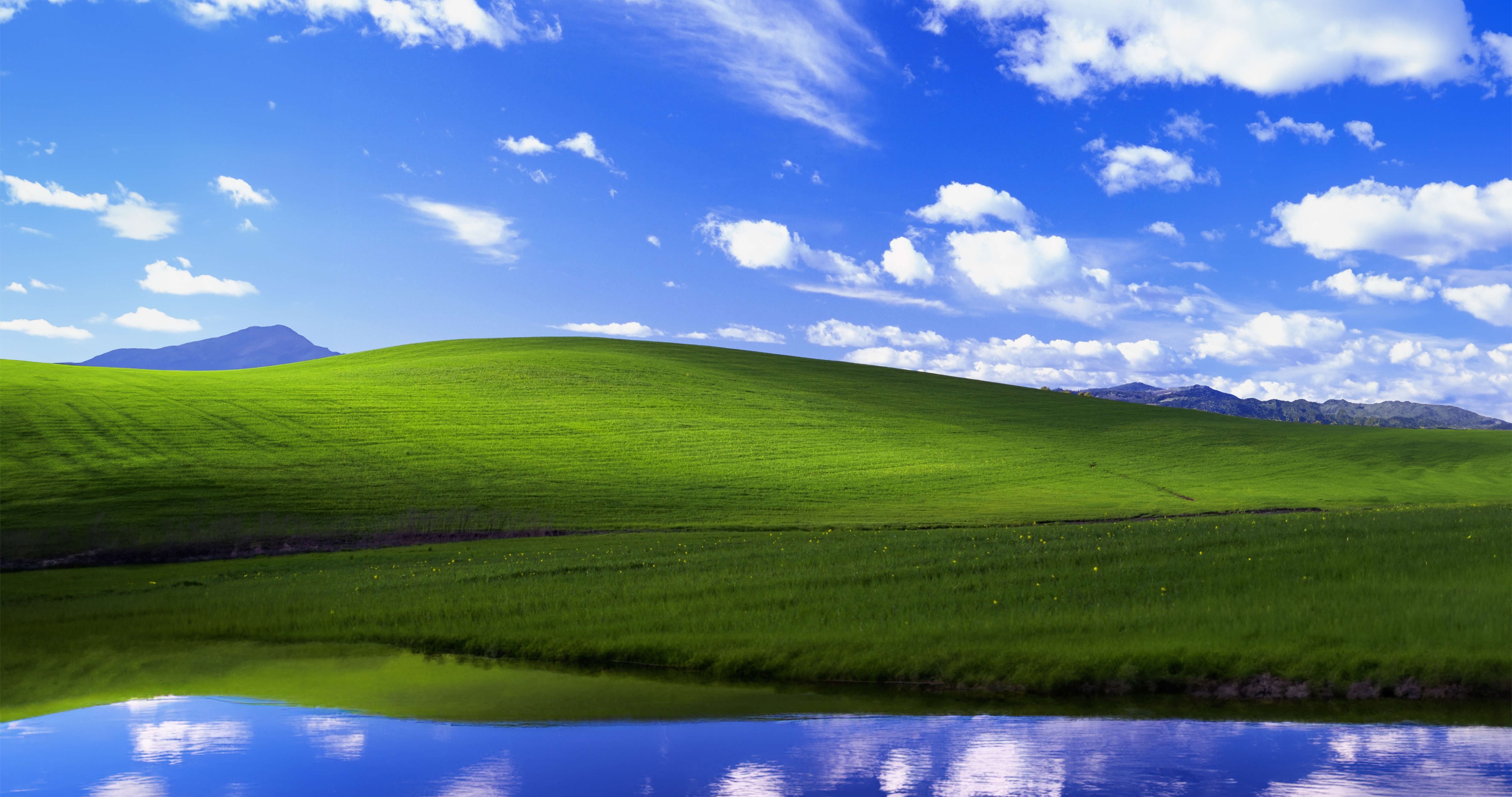 Windows on Twitter The story behind the bliss wallpaper well never  forget httptcoYJi7mgE2PJ httptcocDvYRSwZJp  X